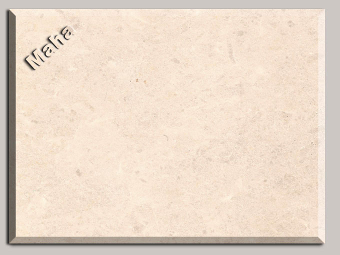 623-1 Small Floral Light Cream Limestone